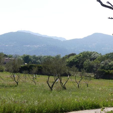 Le Charme D'Une Vieille Bastide Provencale Sollies Pont Bagian luar foto
