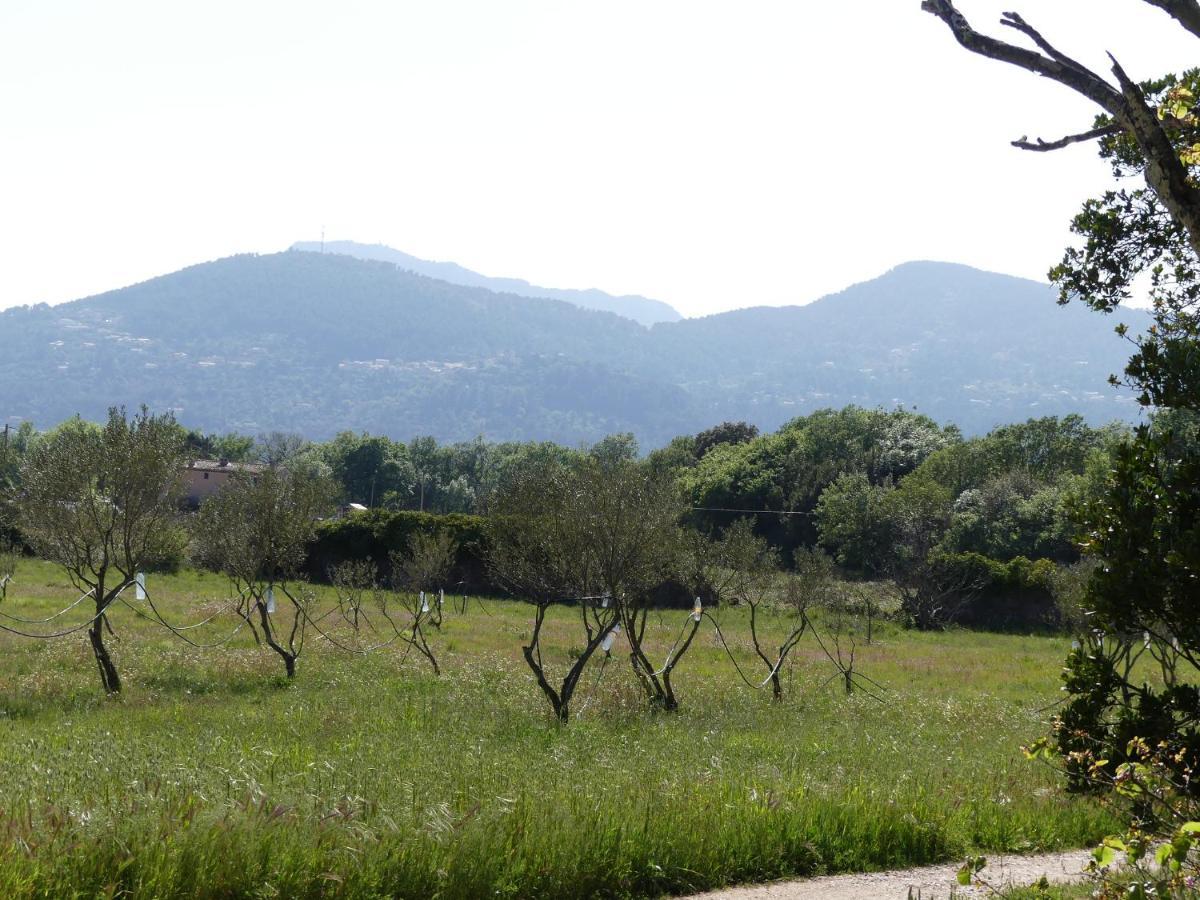 Le Charme D'Une Vieille Bastide Provencale Sollies Pont Bagian luar foto